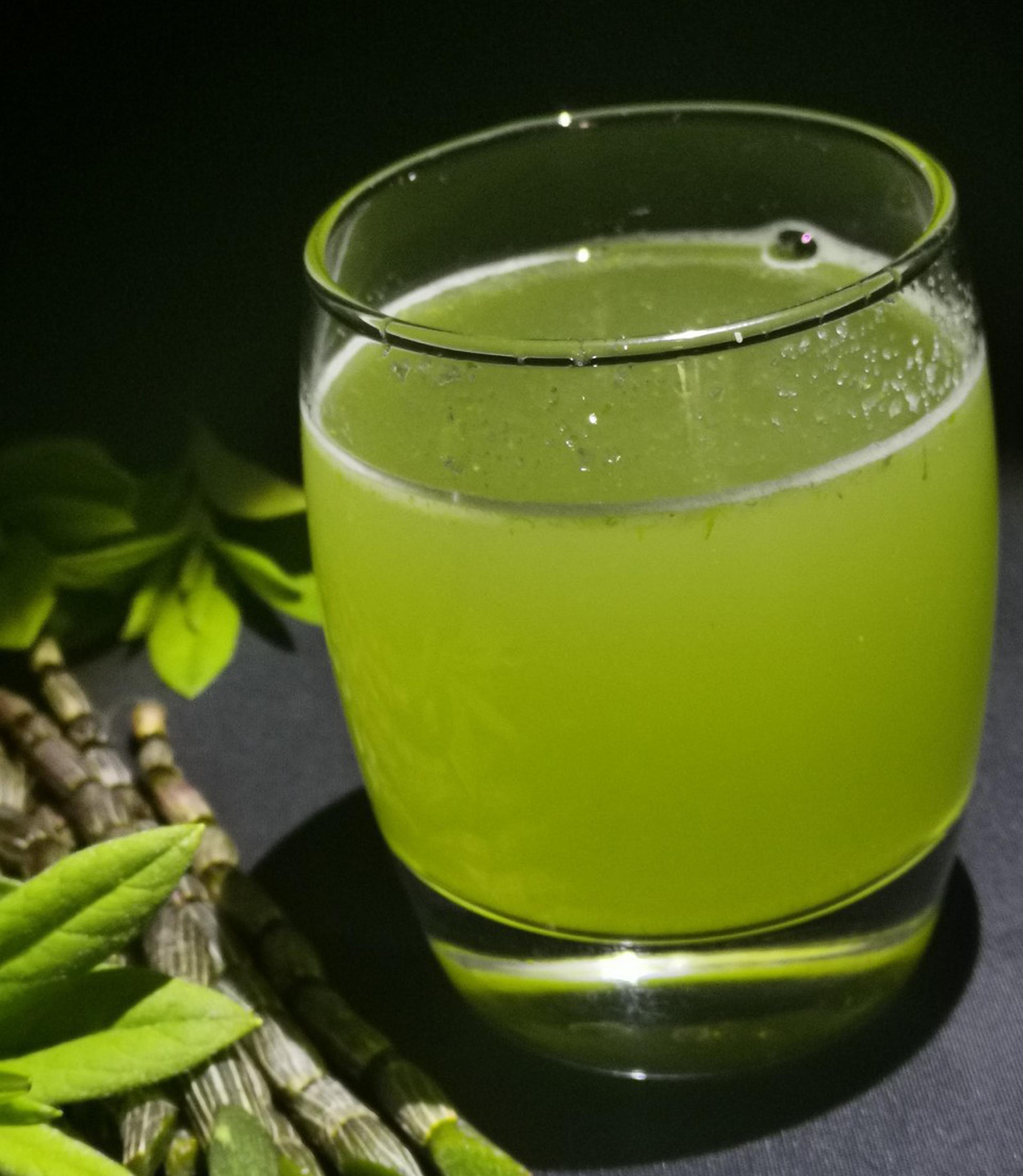 铁皮石斛·滋阴补虚,益胃生津,调理五脏,调节免疫1,养生保健人群适合