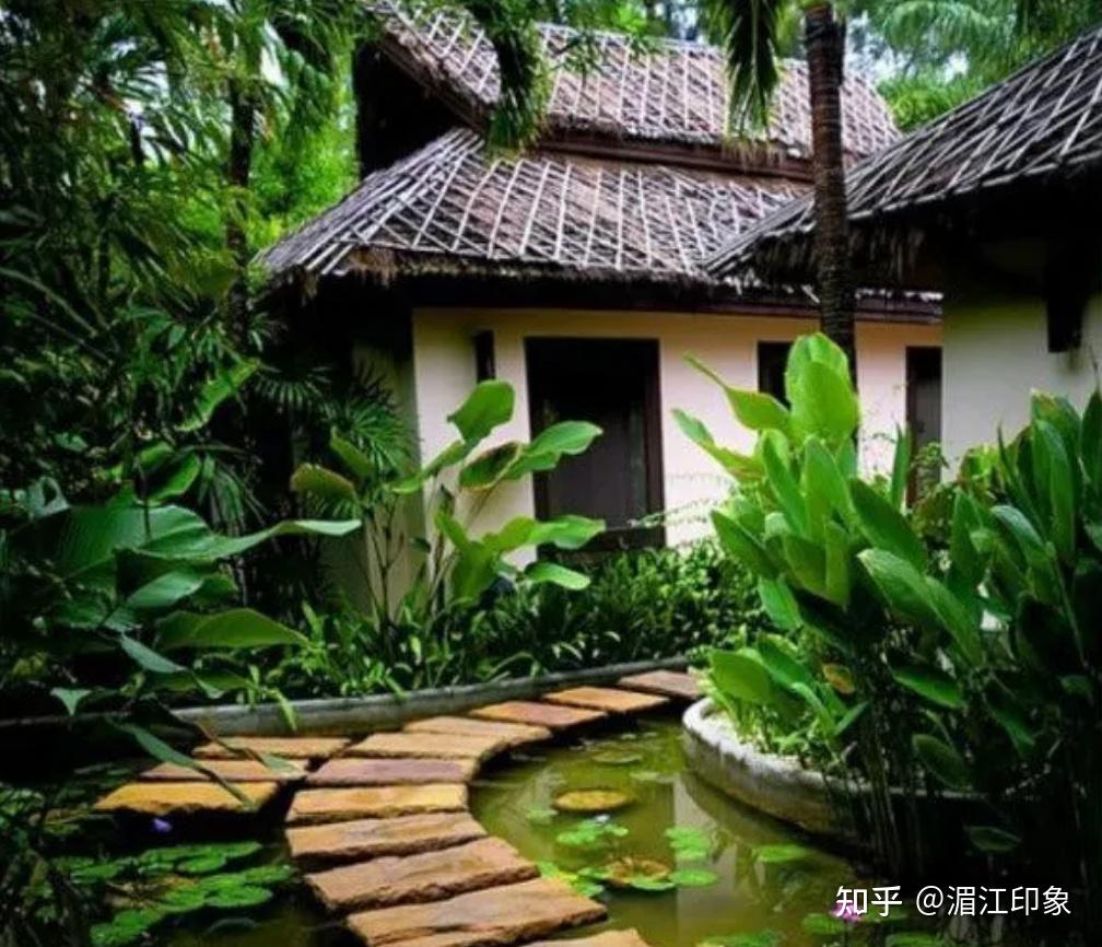 院子是杯茶，方寸解千愁 - 知乎