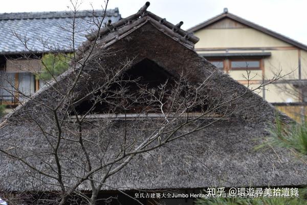 第1041回 平家物语人亡政息 强者败亡风前尘土 知乎