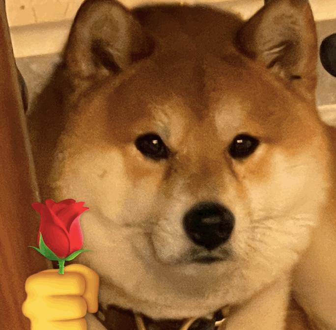 一组可爱的狗狗送花花表情包