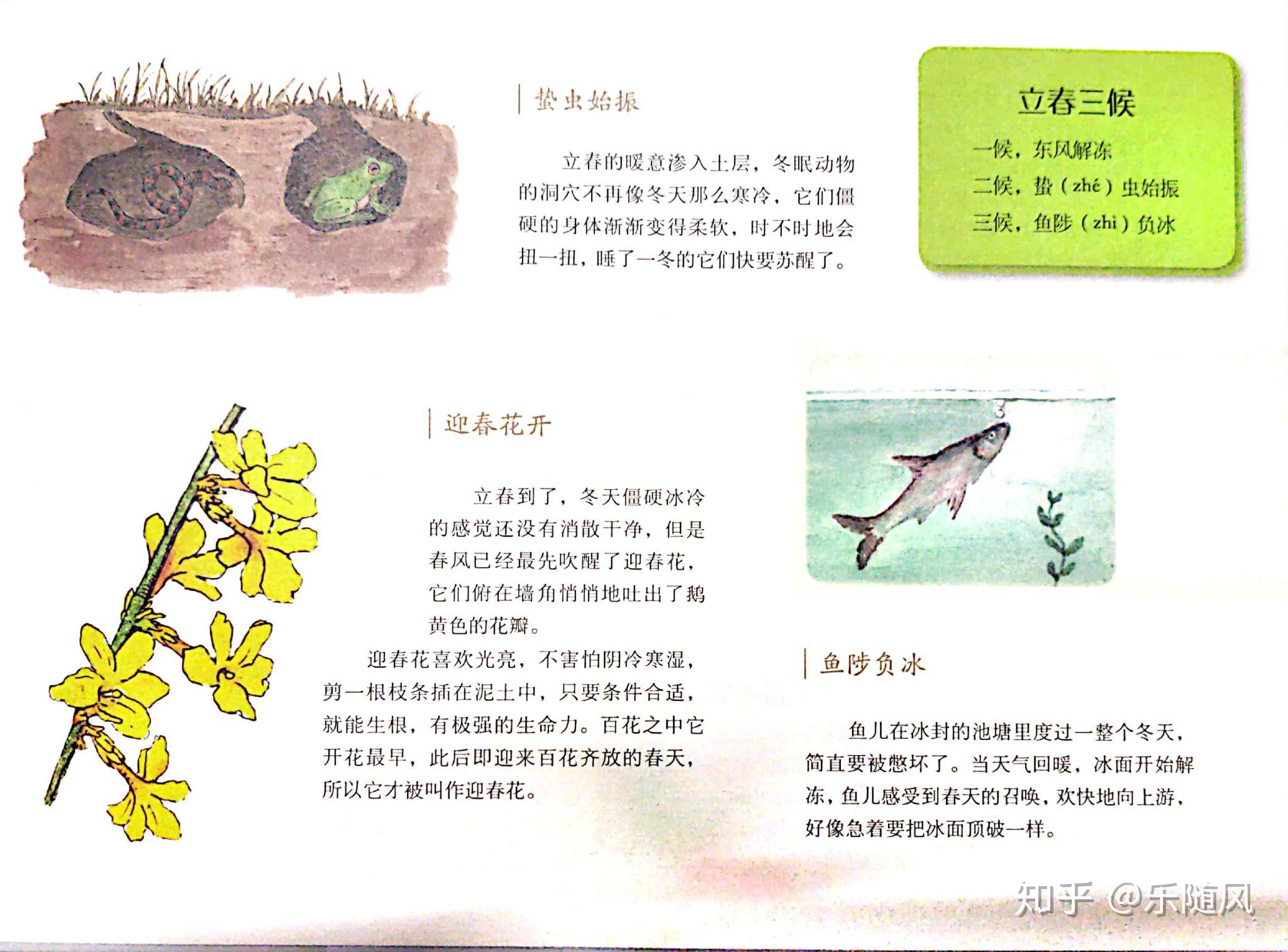 今天是立春,二十四节气的第一个节气,也是春天的开始,翻出这本绘本,与