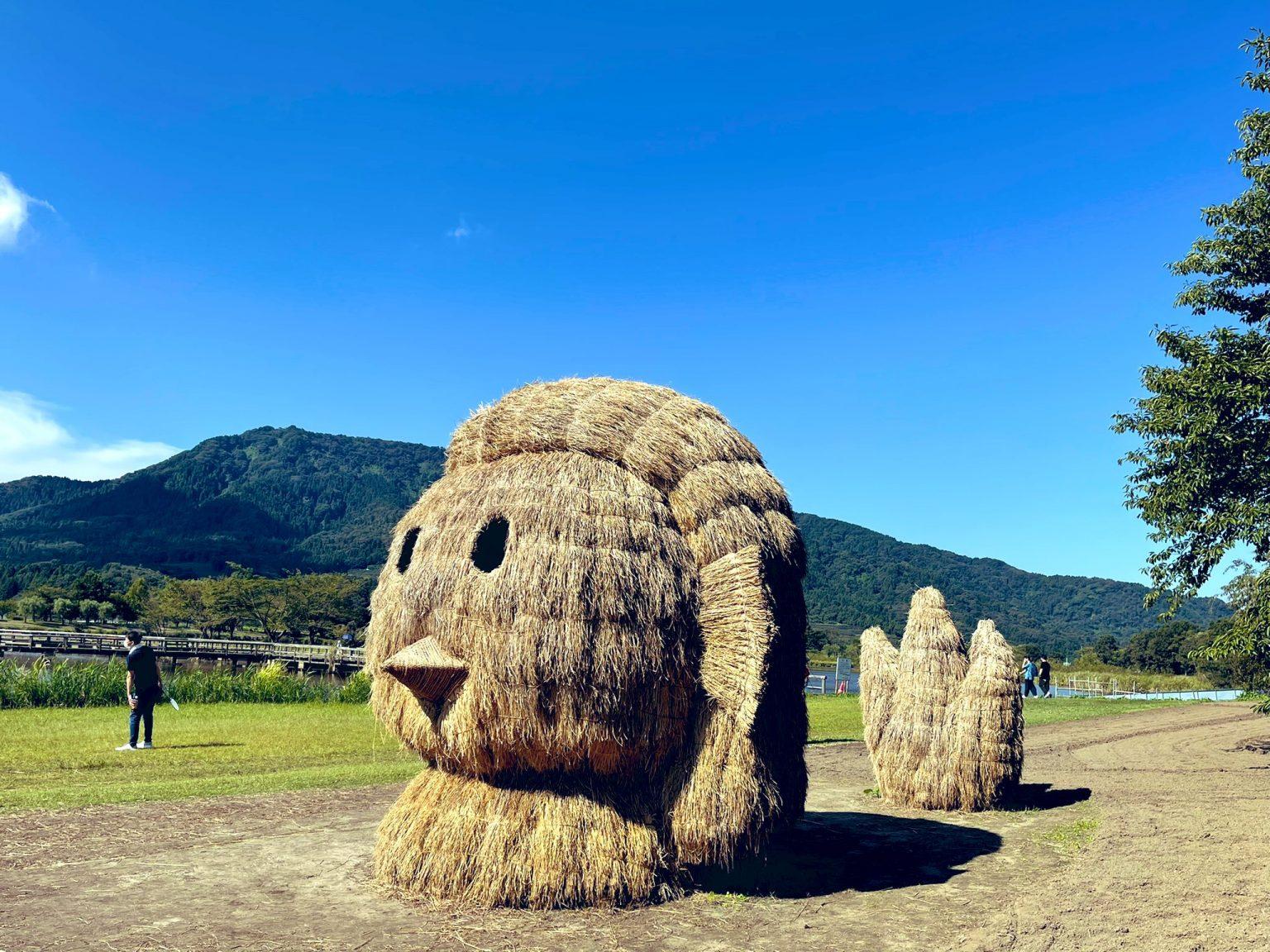 庆祝丰收新玩法尽在日本稻米艺术节