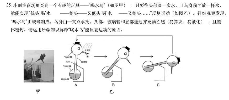 不倒翁小鸟原理图片