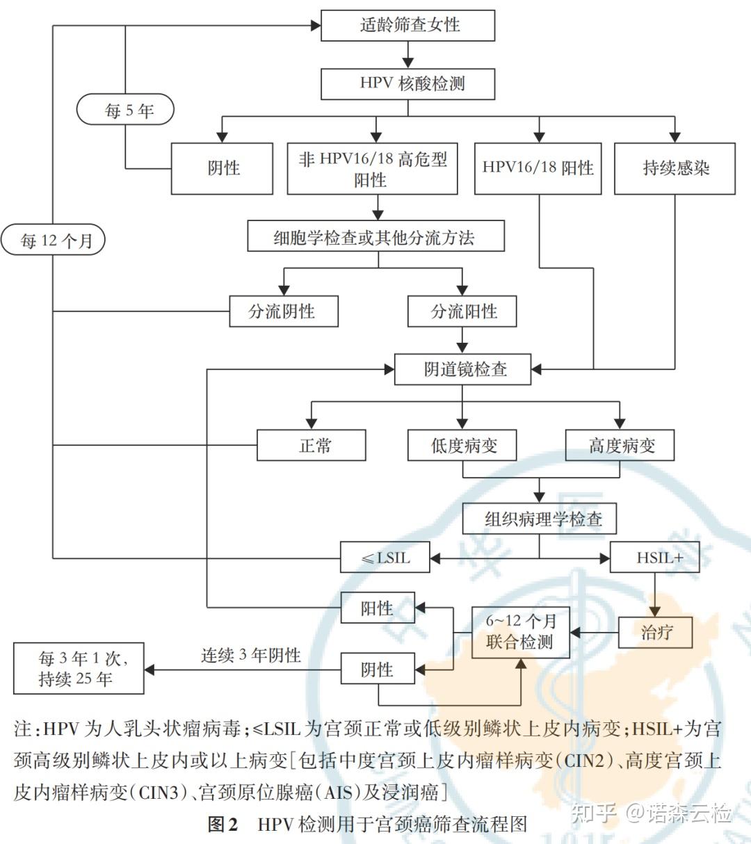 宫颈癌筛查中国专家共识,推荐hpv核酸检测