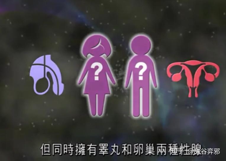 3分不出染色体是男性还是女性但同时拥有睾丸,卵巢两种性腺2