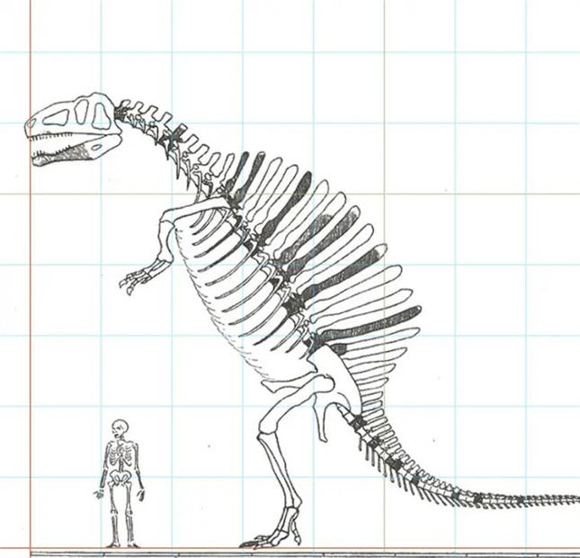 在侏罗纪世界进化2里再现棘龙但是象鼻渔夫