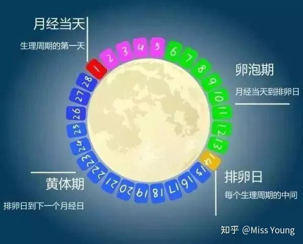 什么时候是黄体期 v2-cb04217ddae5efcc5a6e2f1f3e1fc8b6_r.jpg