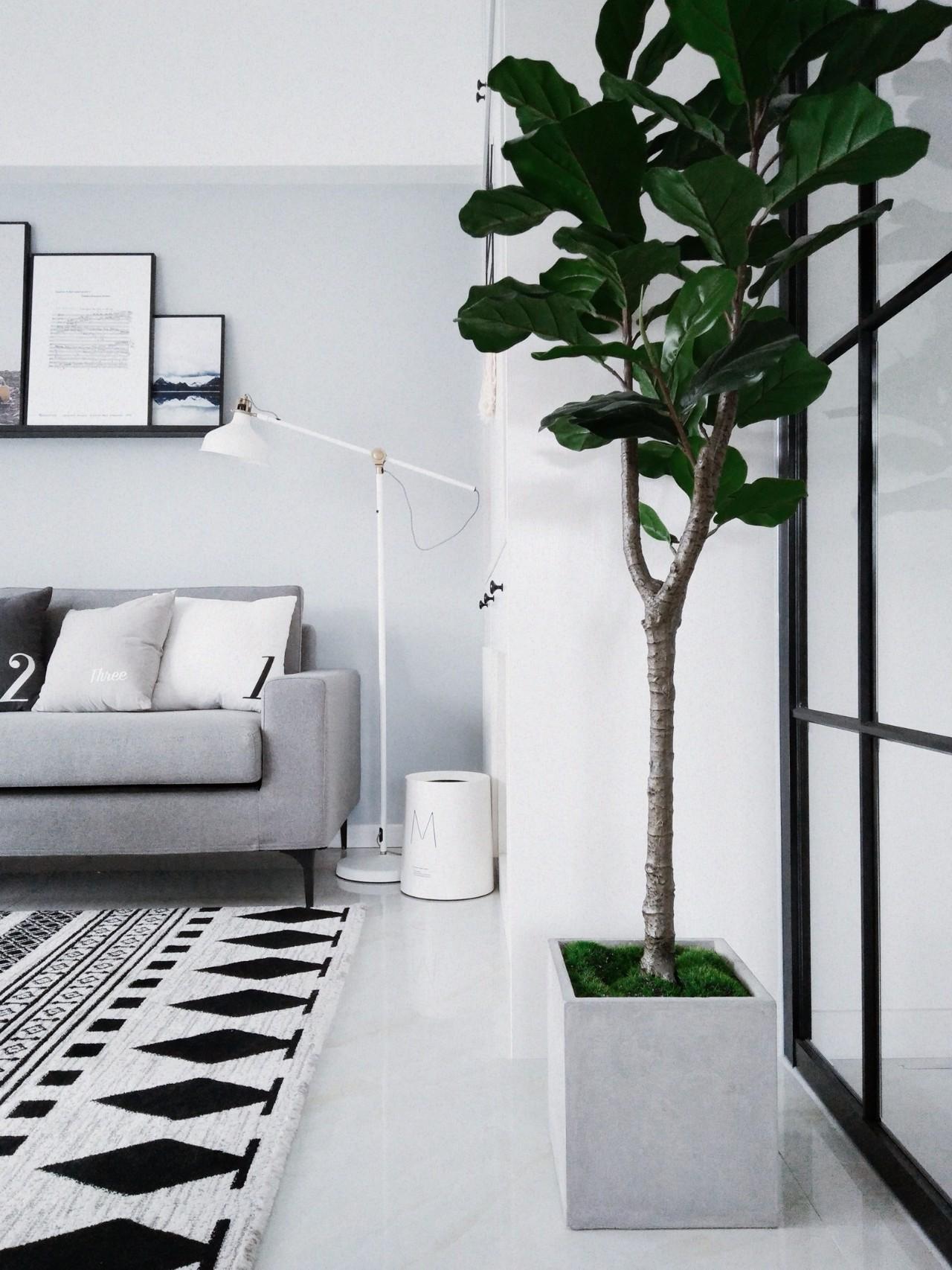 把幻想变成现实 小户型的理想家 知乎