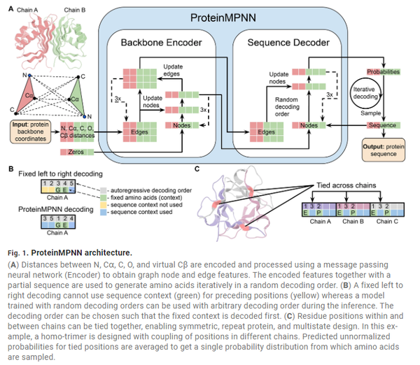 scienceproteinmpnn(基于深度学习的蛋白序列设计)