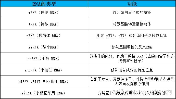 RNA 的类型:结构和功能 - 知乎
