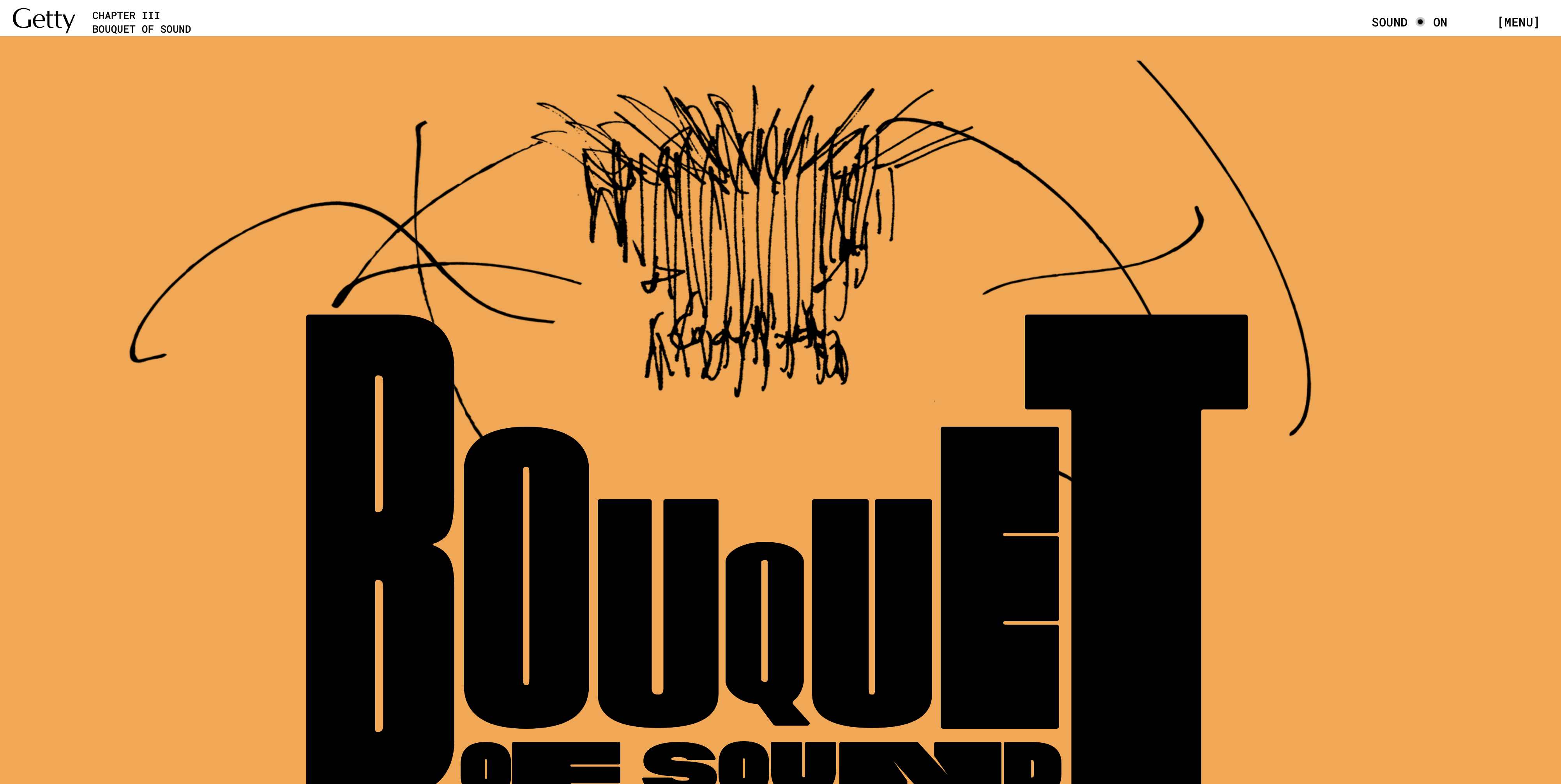 奢侈品品牌网站建设公司_网站建设_艺术性强的网站建设公司