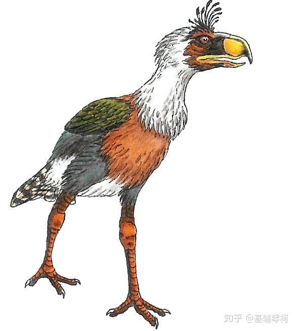 新生代巨兽猛兽与其他掠食者精简名录古兽争锋榜新近纪篇