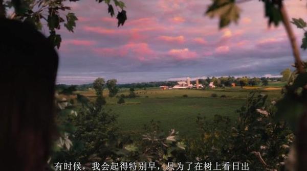 青涩与成长的微妙交织