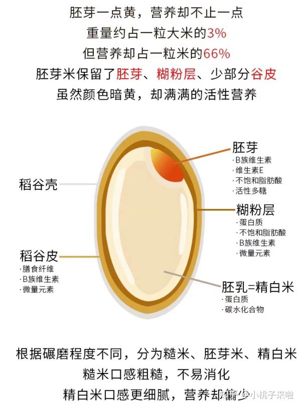 关于胚芽米的那些事儿! - 知乎
