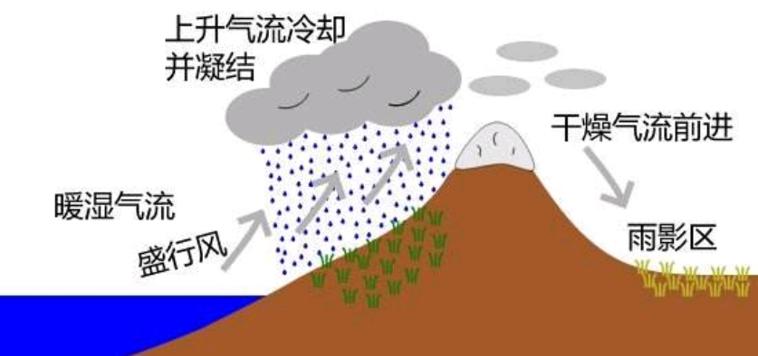 雨影效应与危须古国