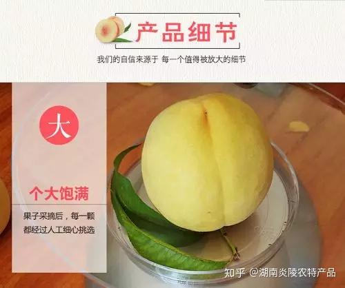 最全的炎陵黄桃介绍版