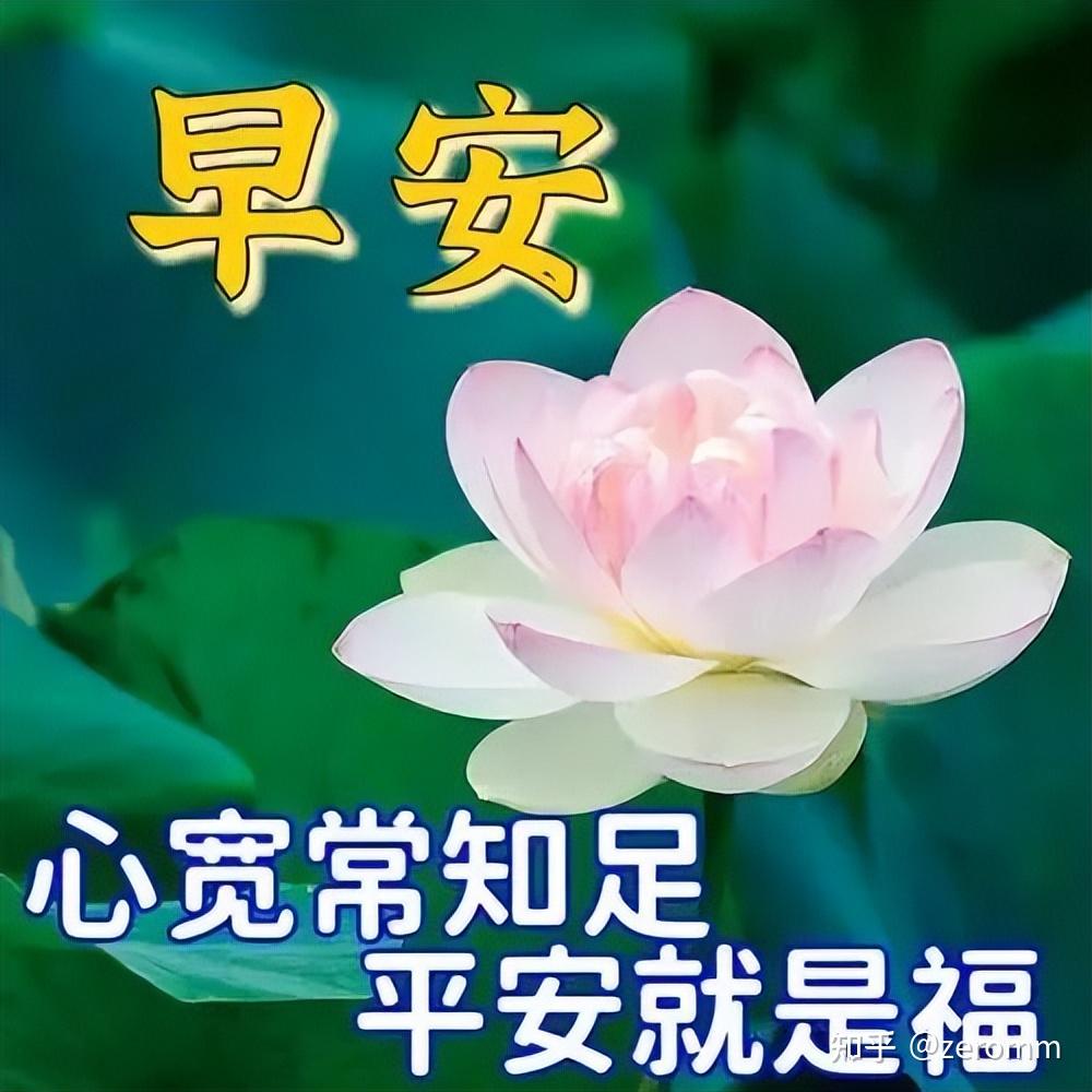 早上好问候文字图片图片