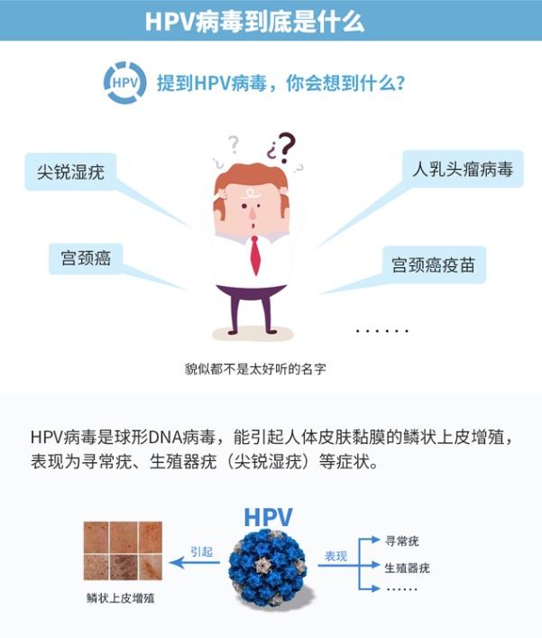 某些型別的hpv感染還具潛在的致癌性,人乳頭瘤病毒(hpv)是一種屬於乳