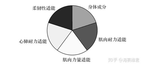 现在火的体适能 你真的知道是什么吗 知乎