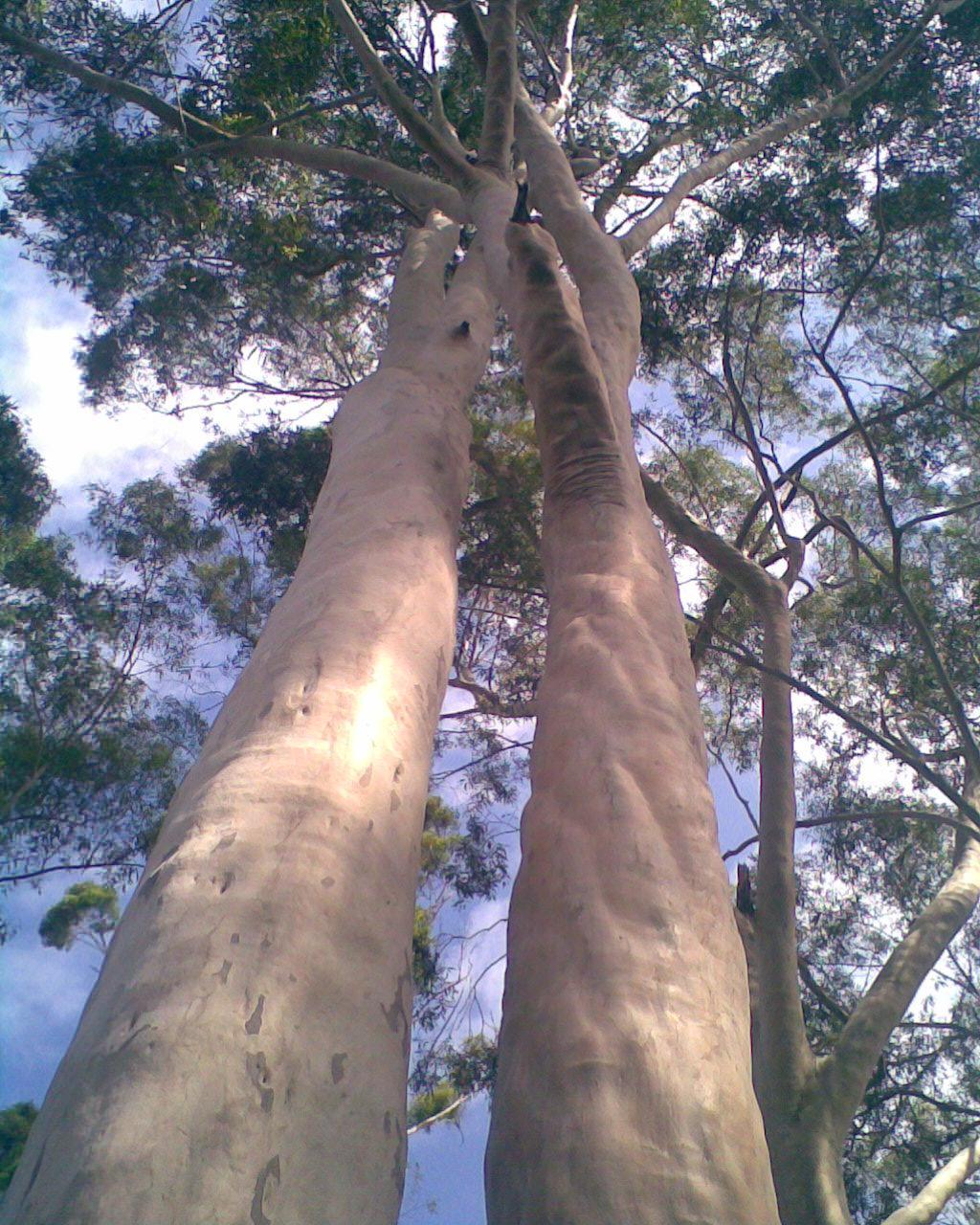 士兵不识军区首长,拒绝进库房,事后忐忑不安,却意外受嘉奖 - 知乎
