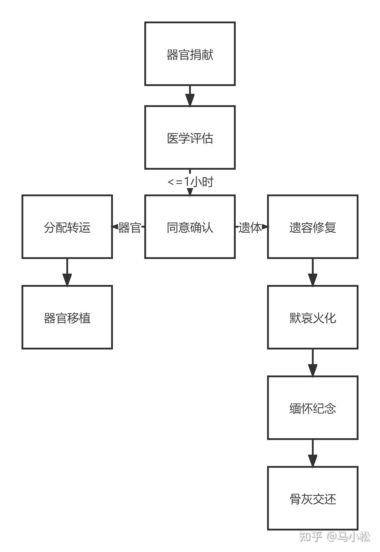 人体器官捐献,眼角膜捐献,人体组织捐献与遗体捐献之间有什么区别? - 