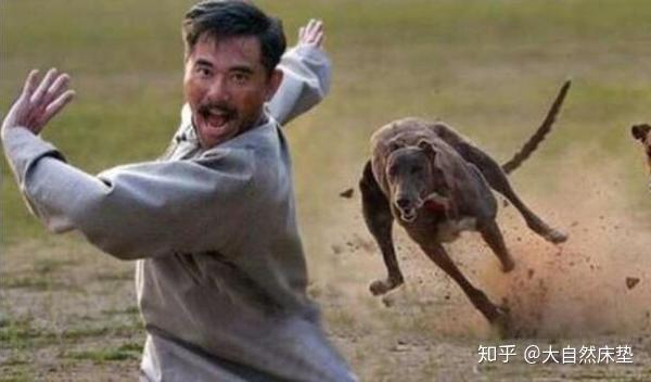 梦境探秘,巨蛇追逐与井边奇遇 梦境探秘,巨蛇追逐与井边奇遇