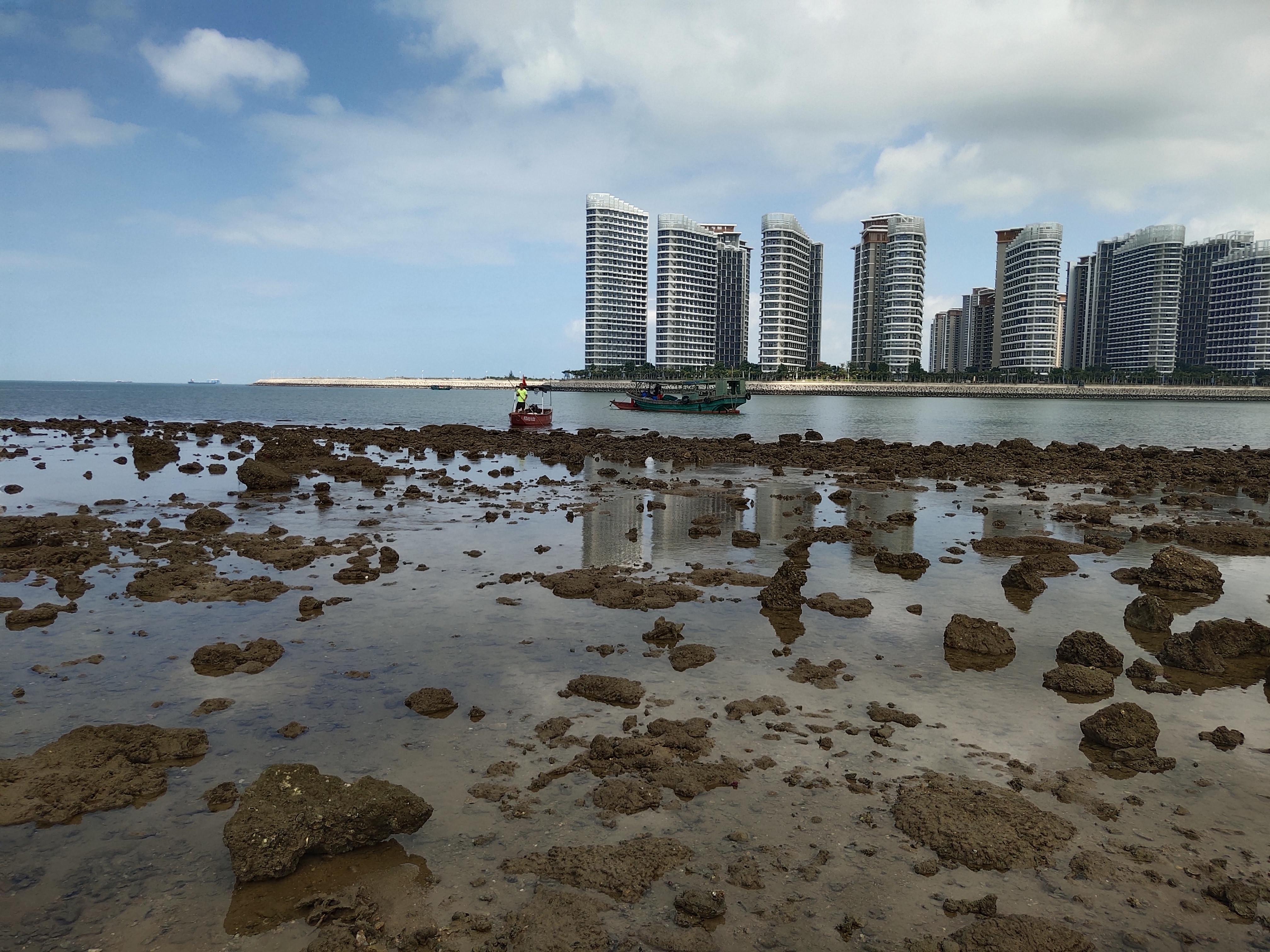 恒大海花岛与白蝶贝的走向灭绝之路资本狂魔劲舞生态修复疲弱