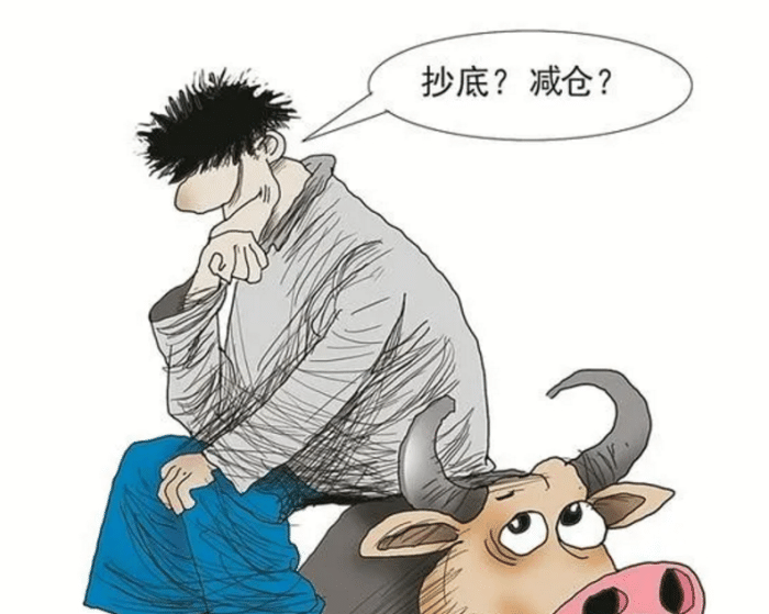 市场震荡寻底手中基金该抄底or反弹出局