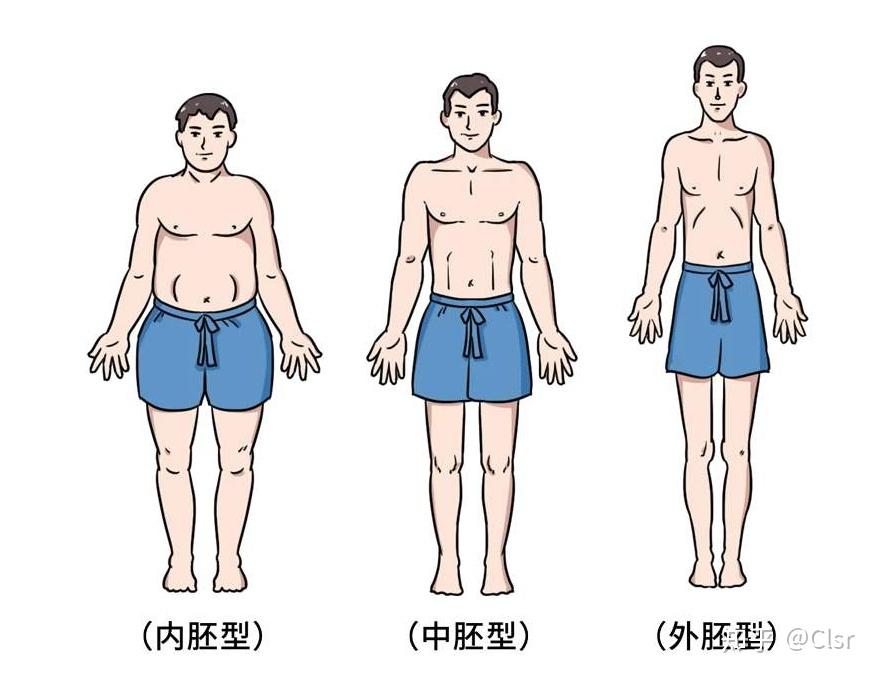 瘦的人为什么一直长不胖 - 知乎