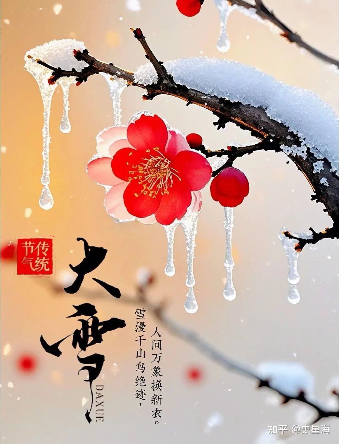 大雪纷飞瑞雪兆丰年图片