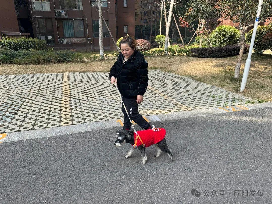 狗链子牵着妈妈图片