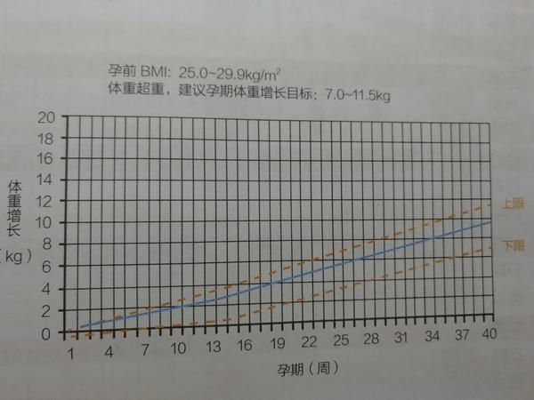 孕期到底吃多少孕期体重管理