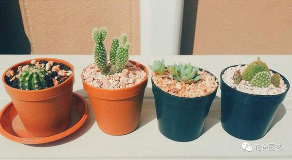 一个花盆中蕴含的知识 助你 养花 更上一层楼 太多人不知道 知乎