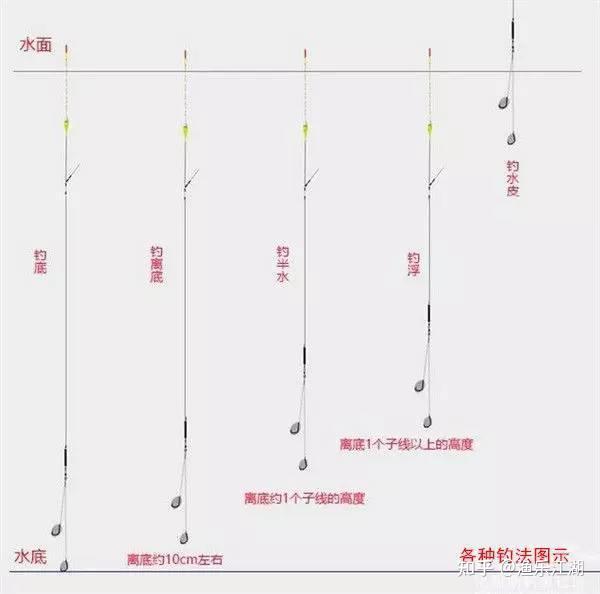 钓离底或离底钓鱼怎么调漂? - 知乎