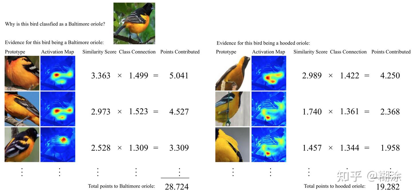 This Looks Like That: Deep Learning for Interpretable Image Recognition ...