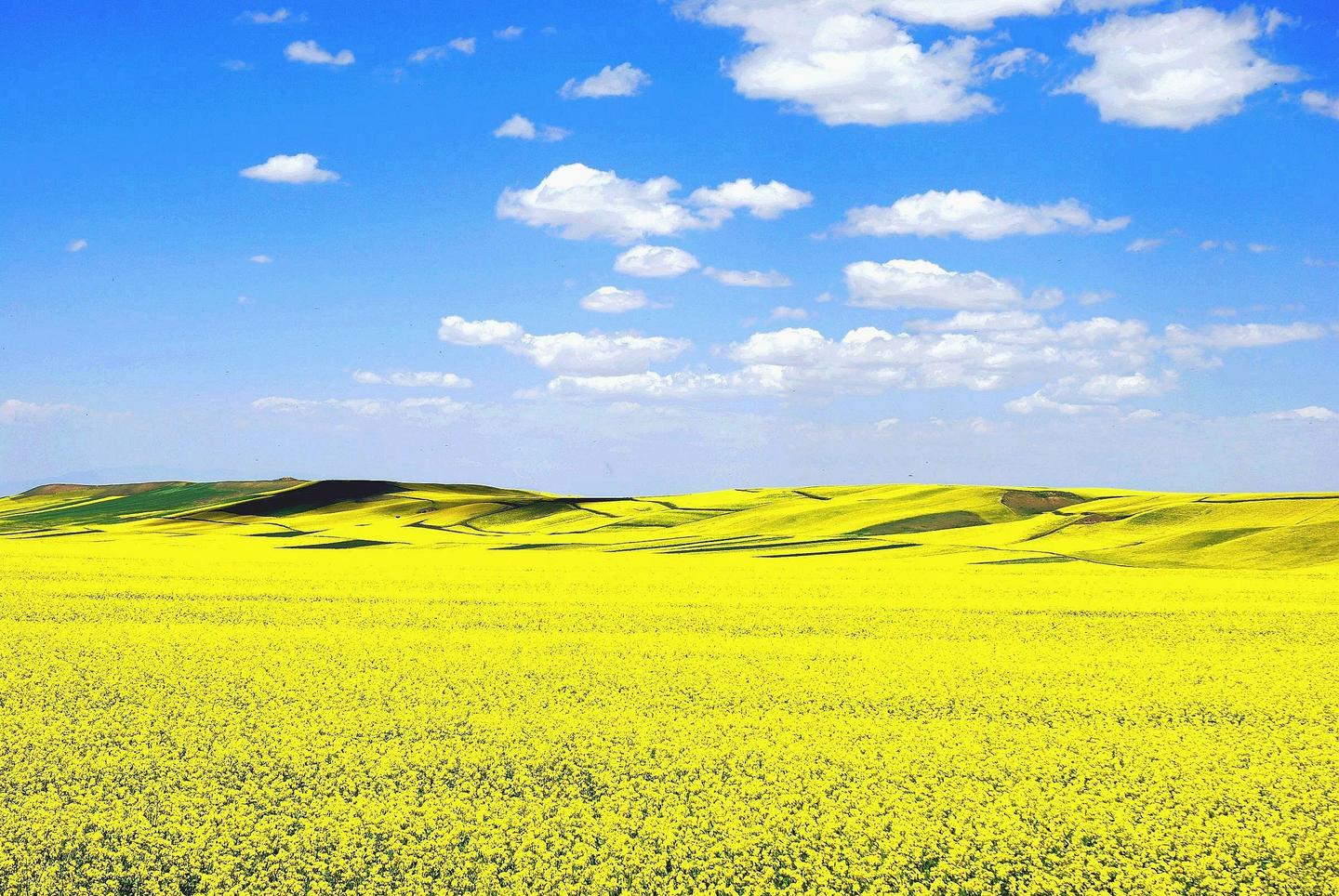 怎么破开 马太效应 这个局 知乎