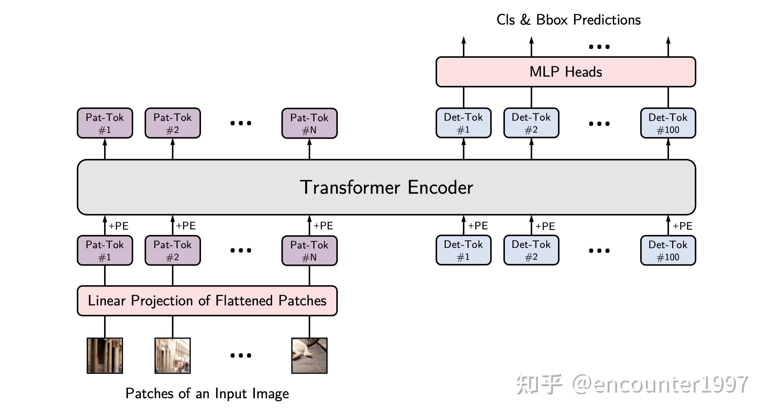 What Is Cls Token at Edgar Cox blog