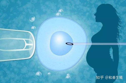 为试管婴儿治病的医生