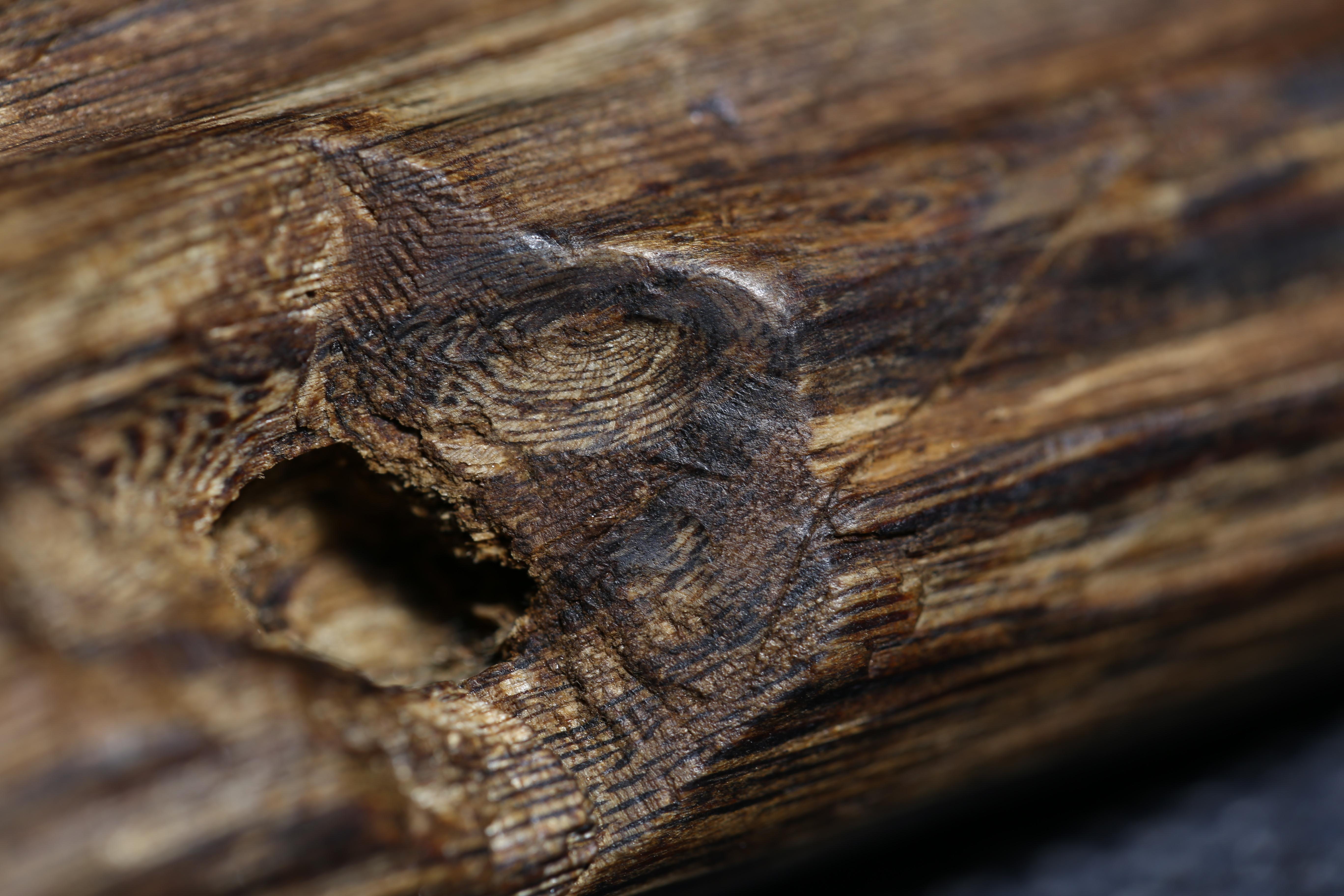 正区达拉干沉香切料分享