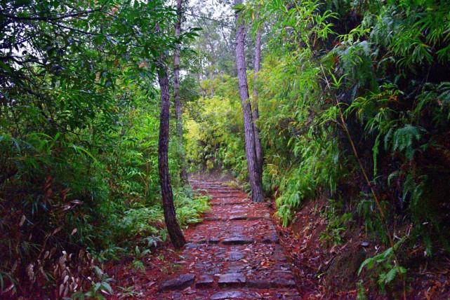 古驿道图鉴①远芳侵古道寻觅山林间