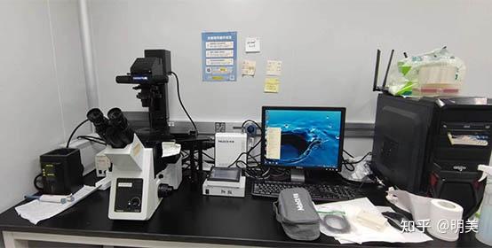 LED荧光光源助力显微镜荧光升级 - 知乎