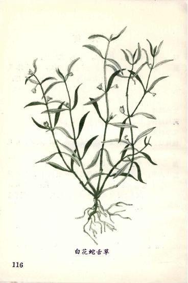 你有什么想不开的 非要喝这瓶中国 五毒水 知乎