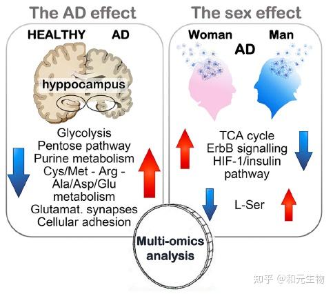 【多组学联合】一文带您了解转录组/蛋白组+代谢组在医学研究中的联合分析策略 - 知乎