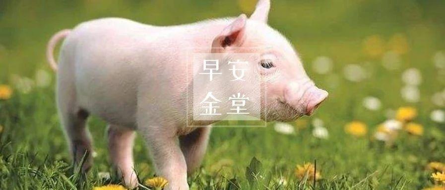 早安金堂金堂县二季度25个重大项目集中开工