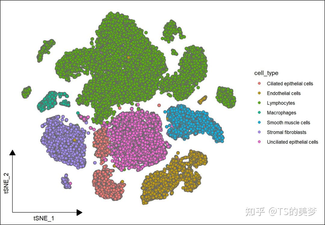 UMAP/TSNE降维图结合细胞比例饼图 - 知乎