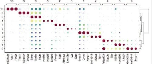 Briefings in Bioinformatics | 王秀杰/裴小兵合作开发单细胞组学细胞标记基因鉴定算法COSG - 知乎