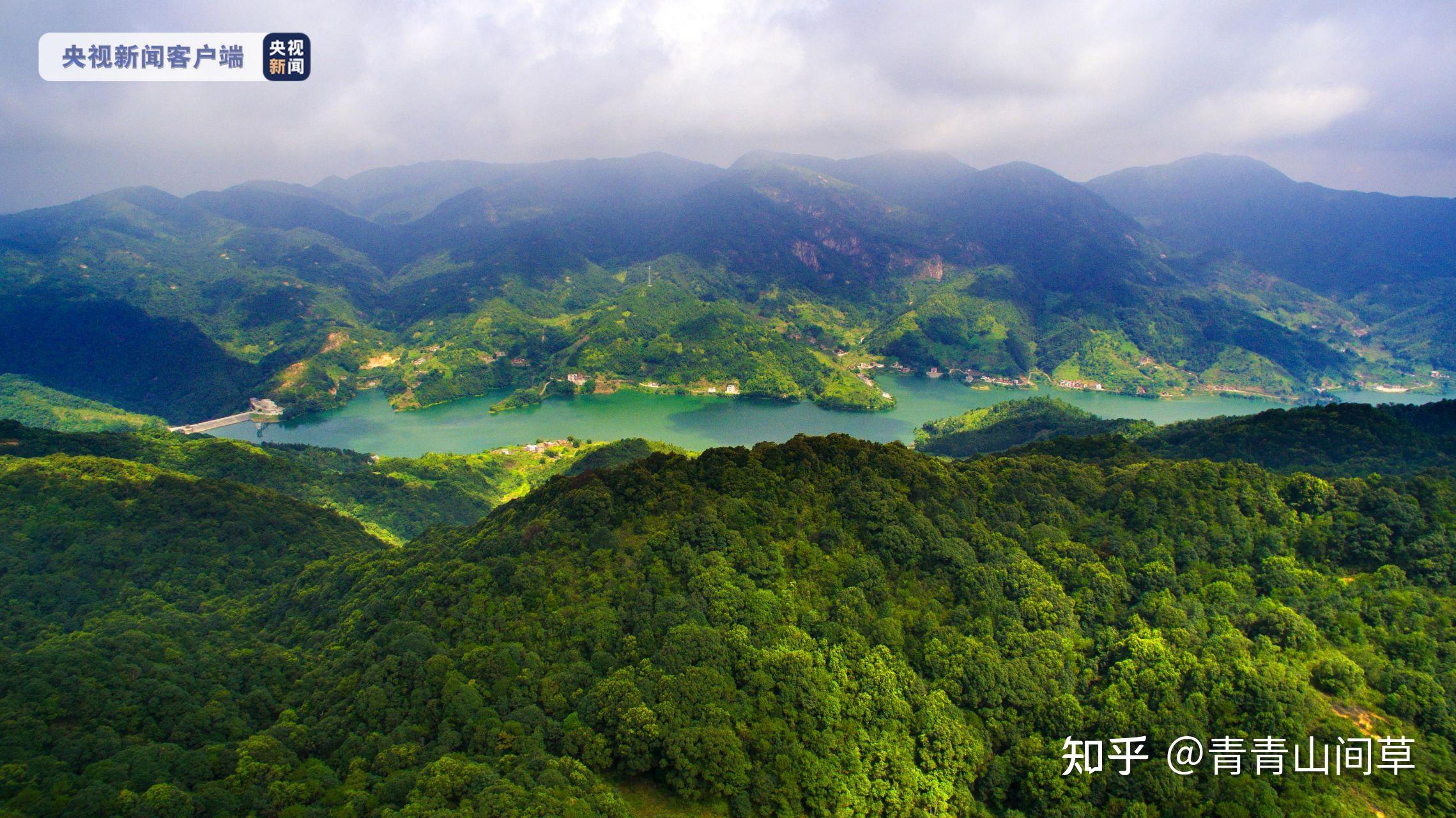 以及电影《了凡四训》电视剧《了凡》《观音妙缘》《俞净意公遇灶神记