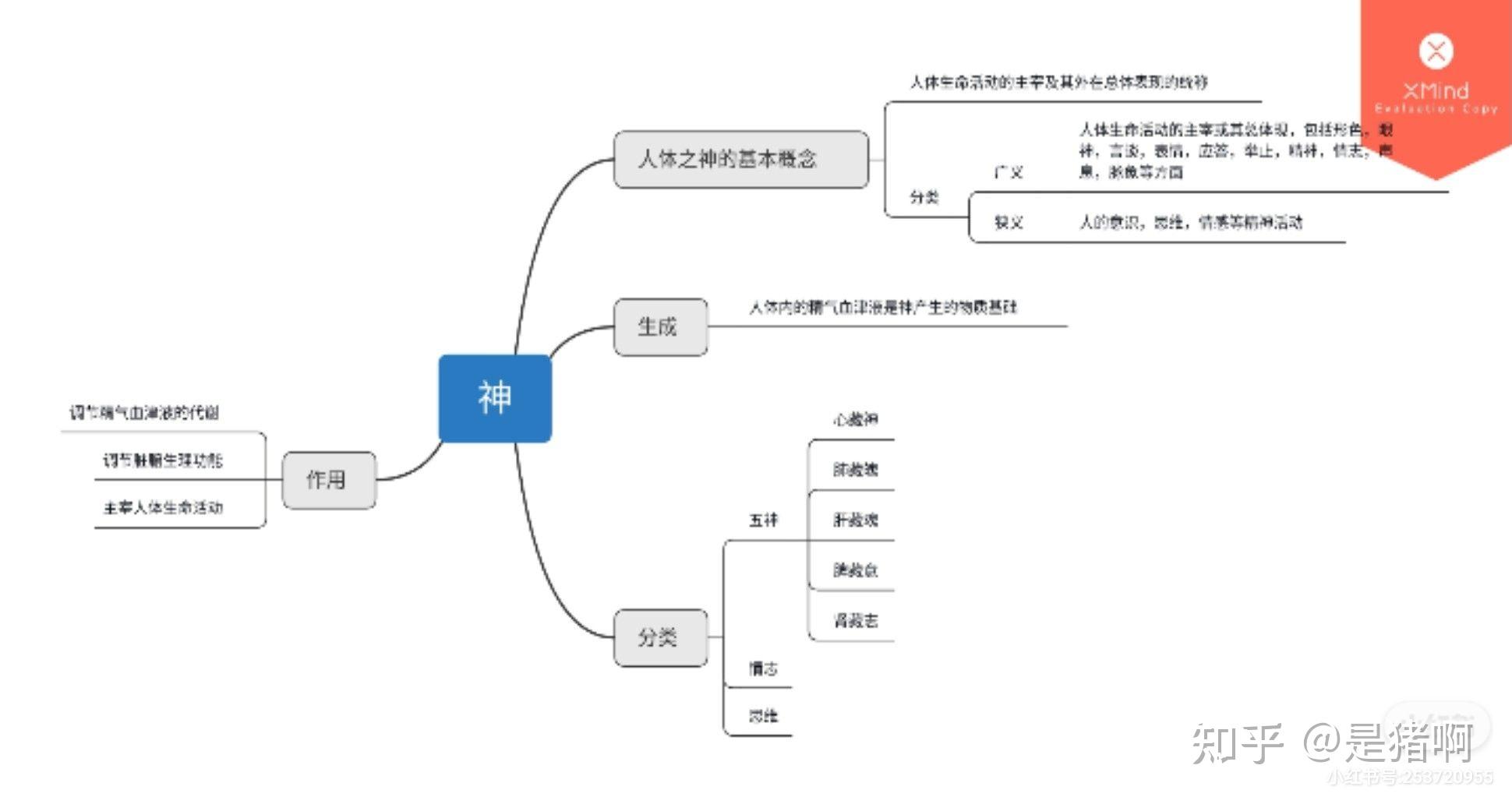 中医基础理论思维导图