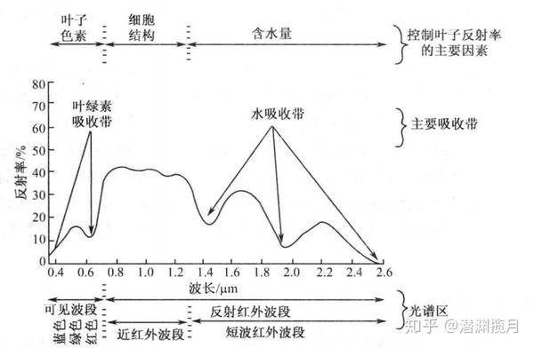 植被光谱反射曲线