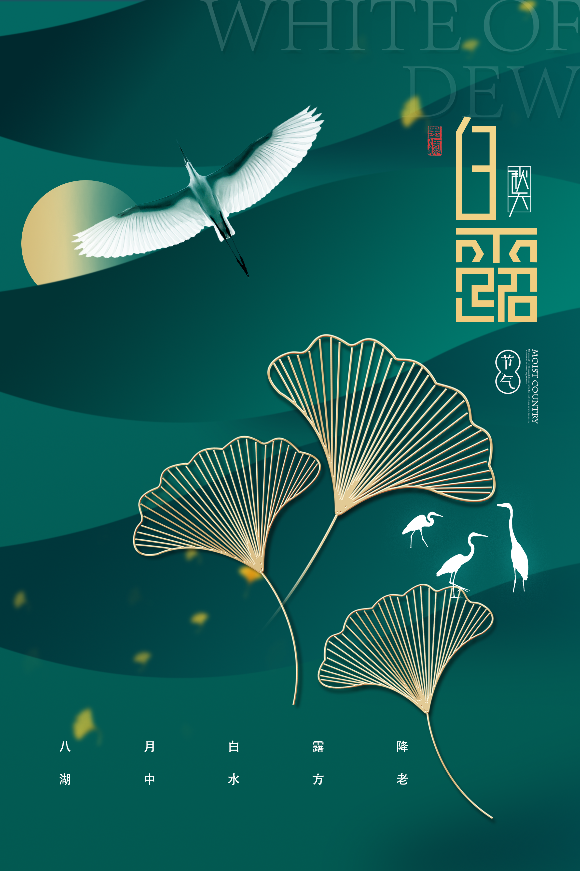 二十四节气—白露,蒹葭苍苍,白露为霜. - 知乎